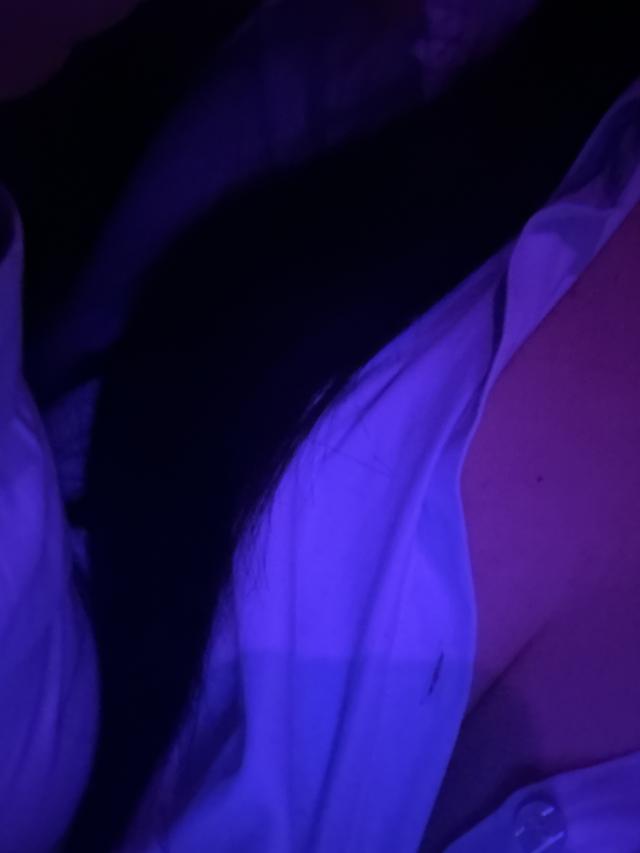 みみ