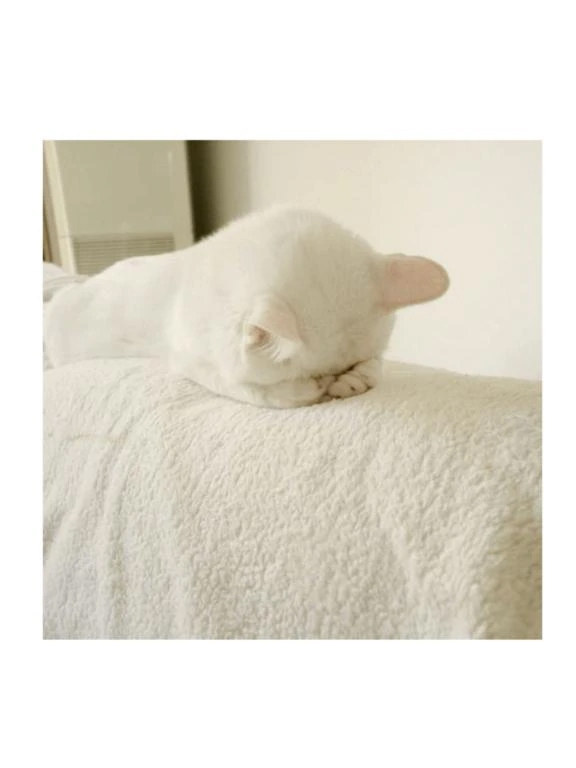 ほのか
