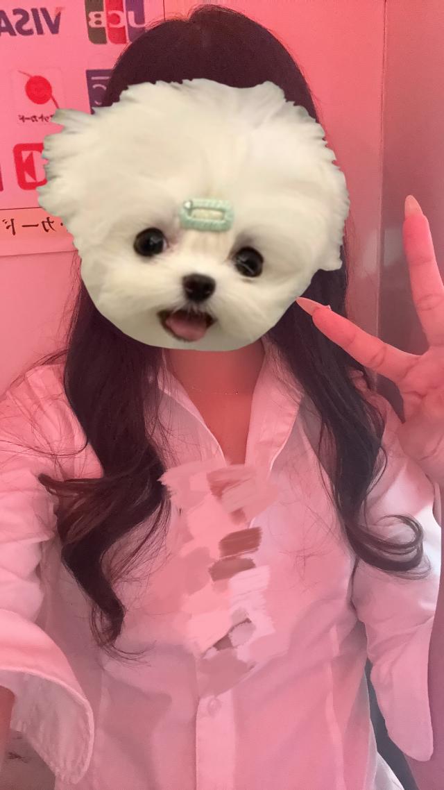 まゆ