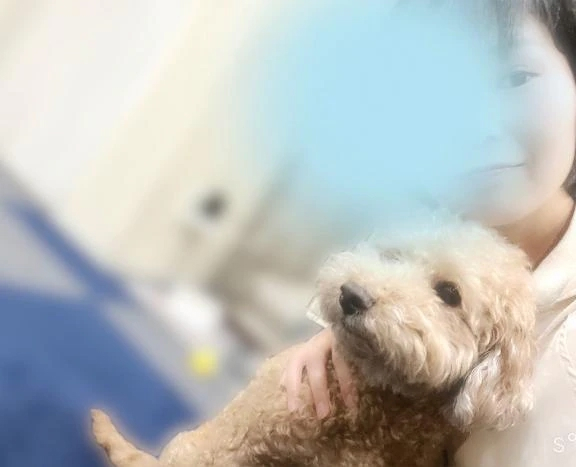 かより