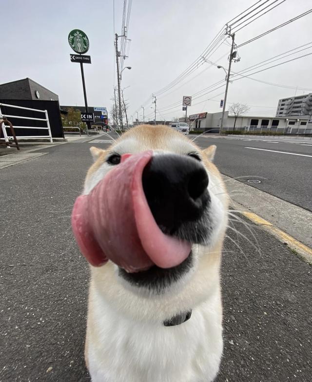 くるみ