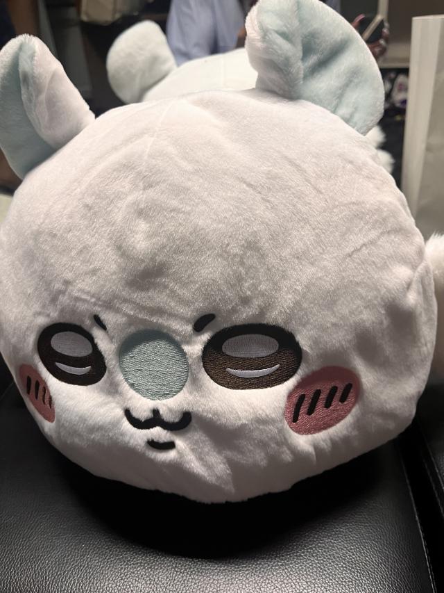 ひなこ
