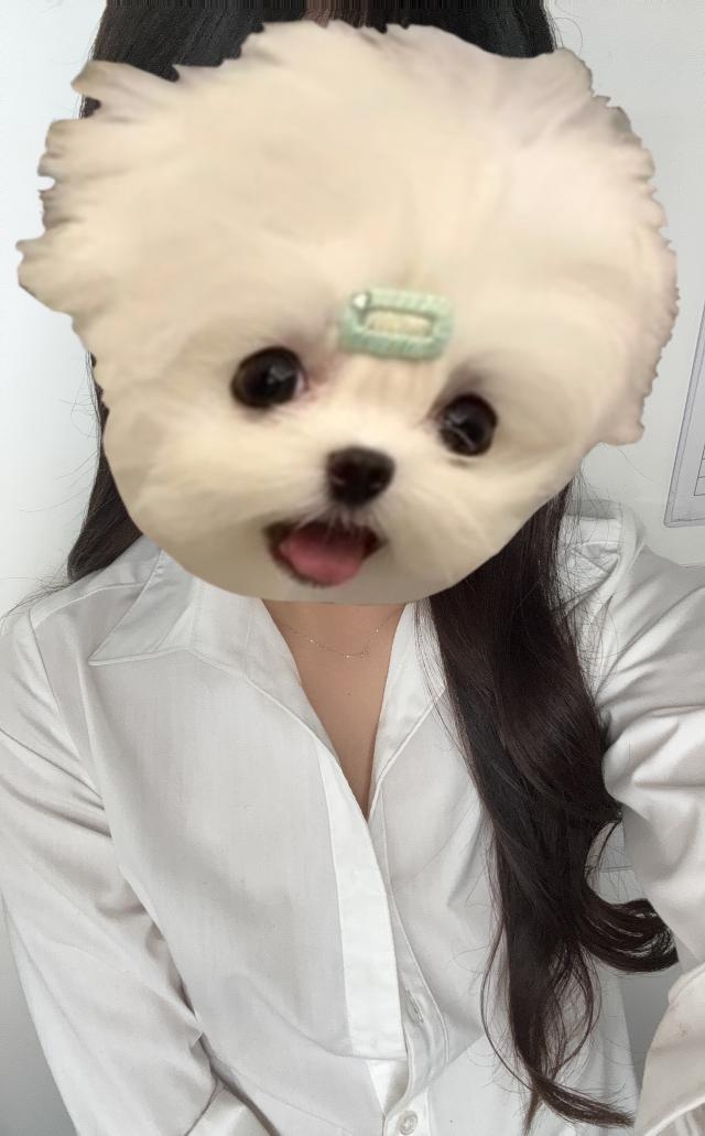 まゆ