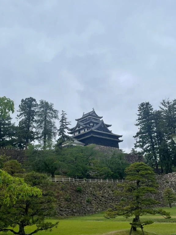 あずさ
