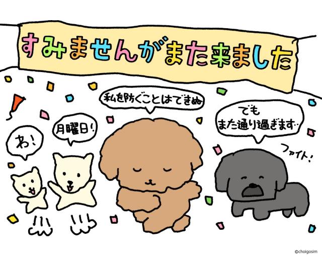 ふみ