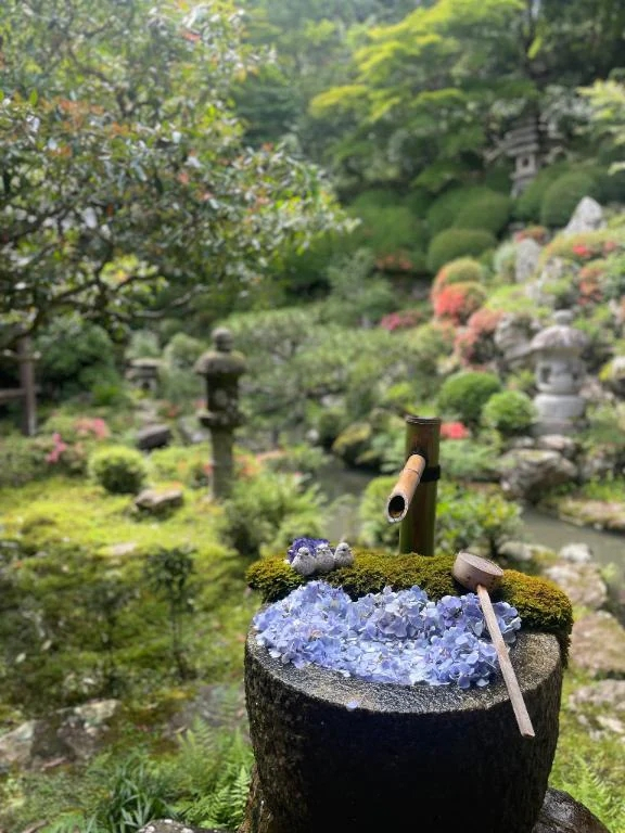 こころ