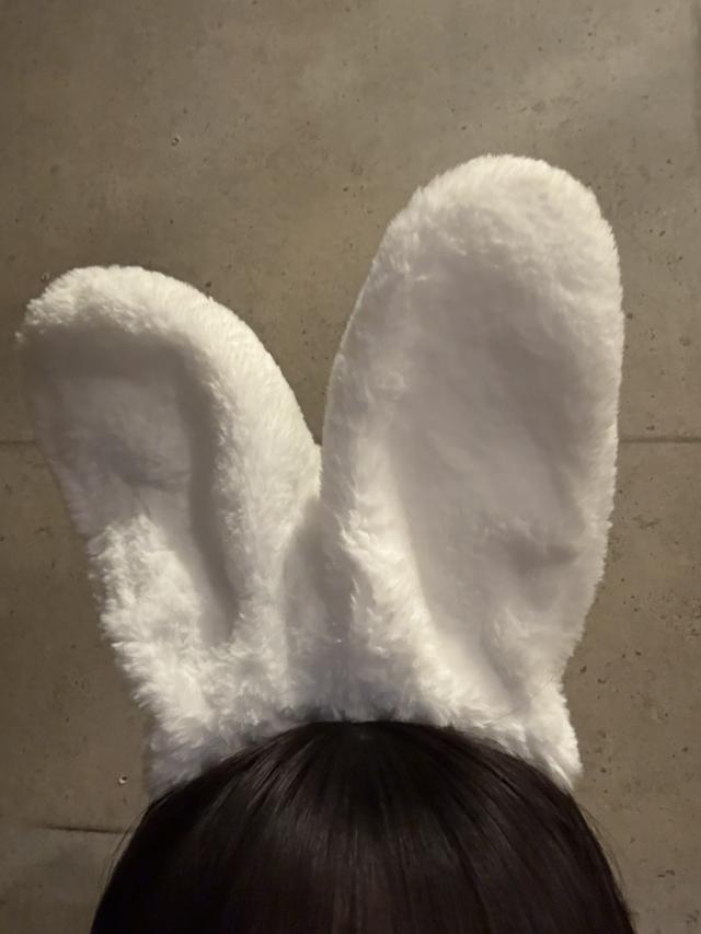 白うさぎ、退勤。