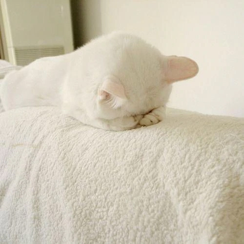 ほのか