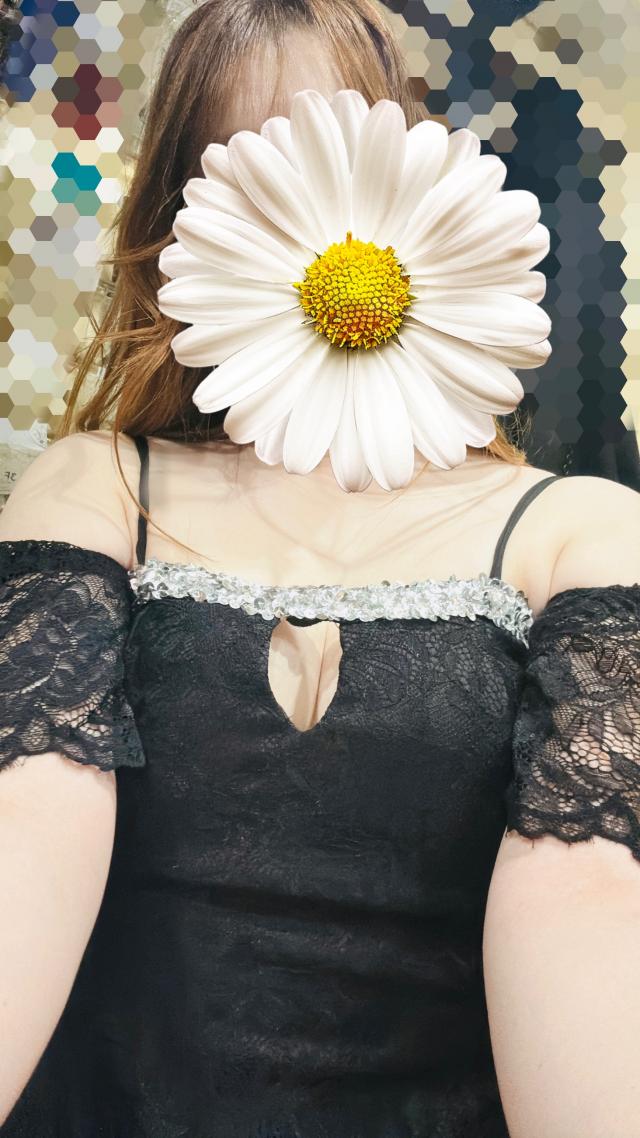 ハレ