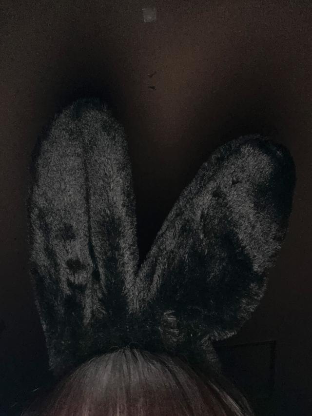 黒うさぎ、退勤。