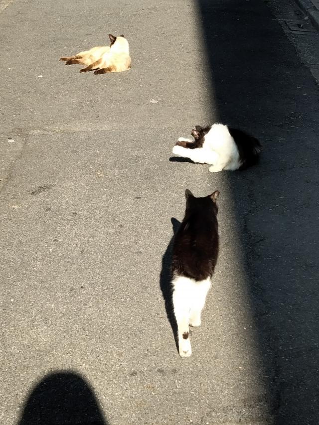 まな