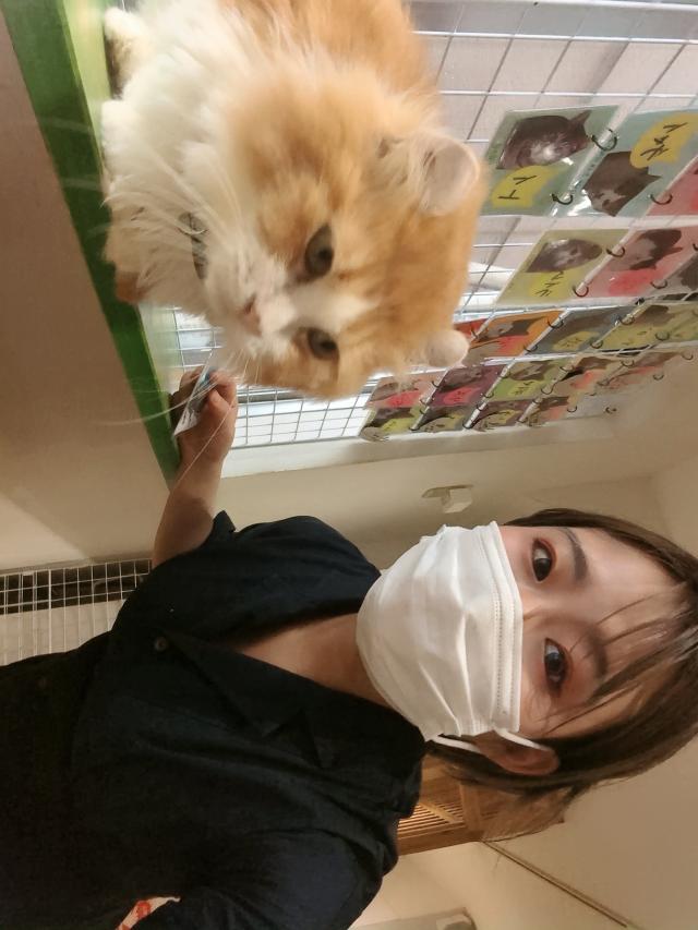 るい