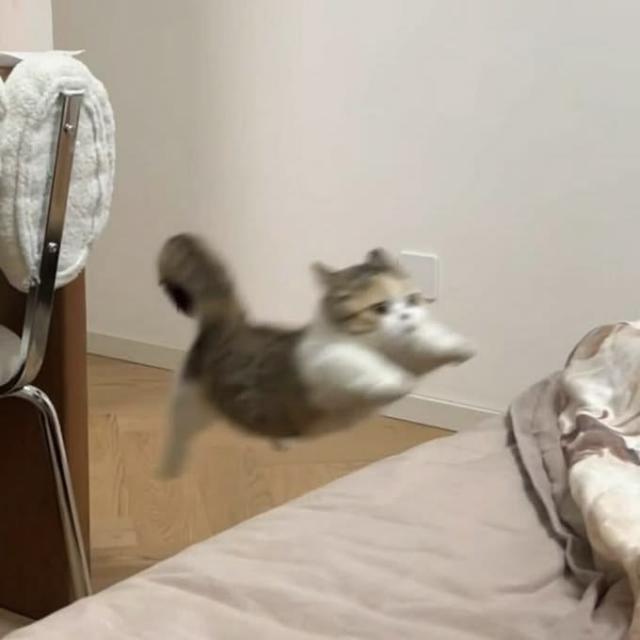 なのは
