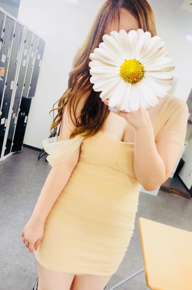 ハレ