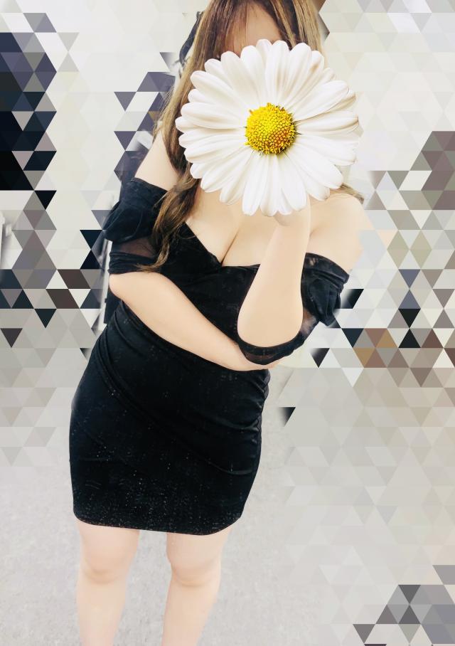 ハレ