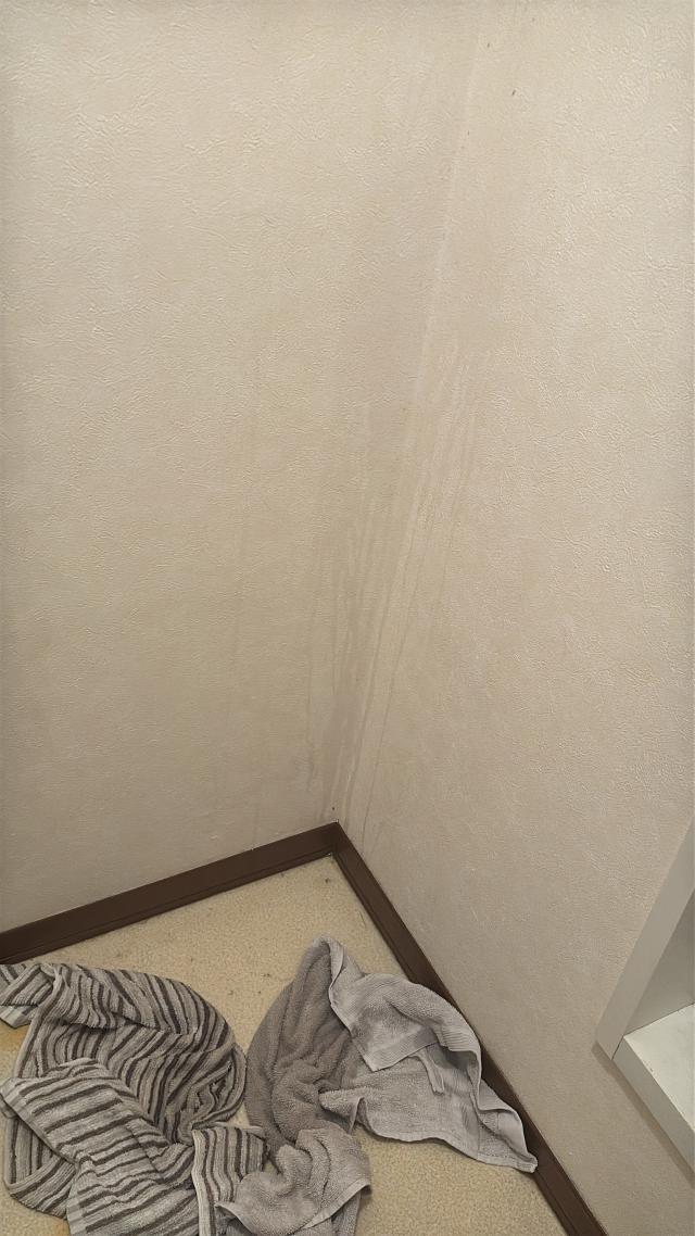 すず