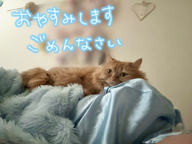 さくら