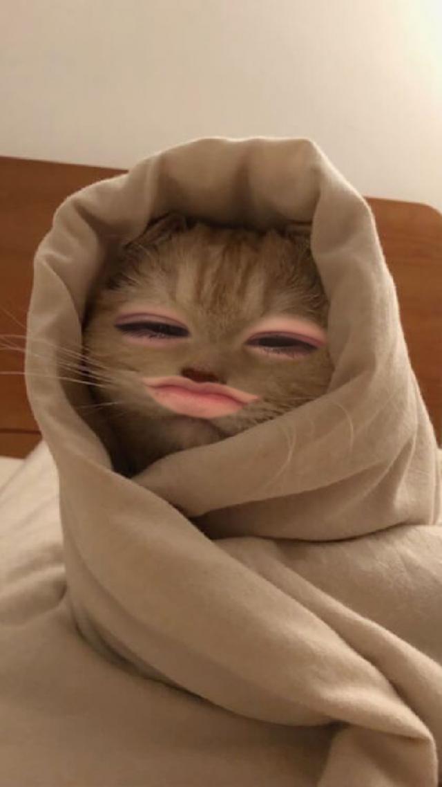 ろあ