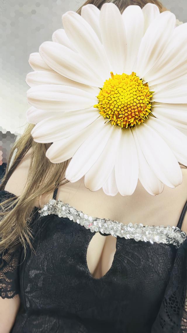ハレ