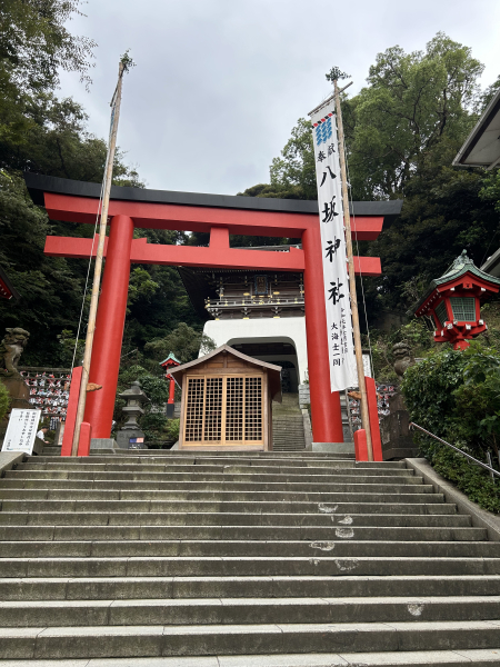 まこ