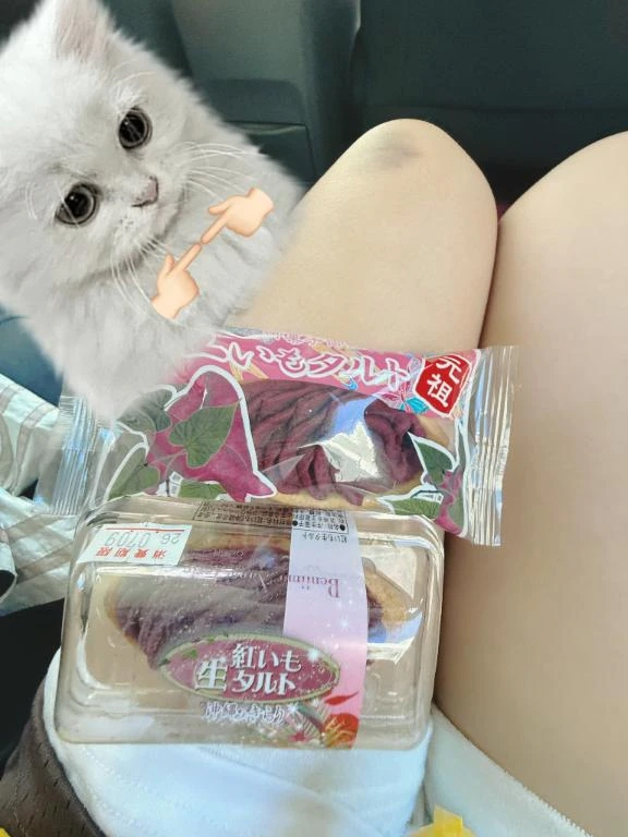 せいら