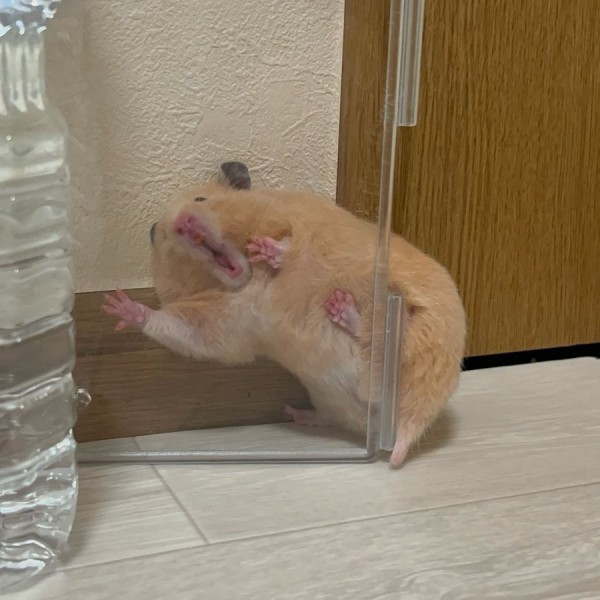 れい