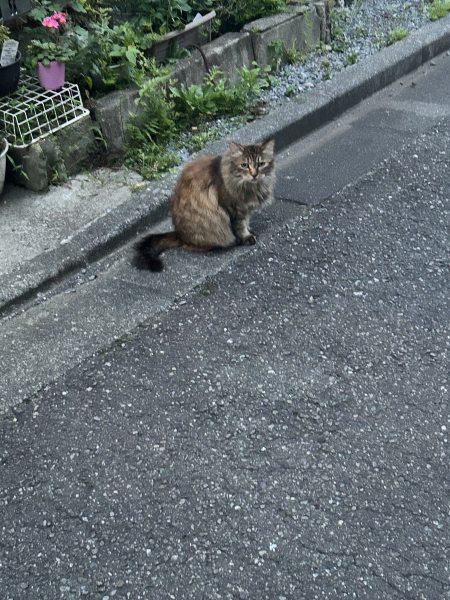 れい