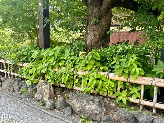 こう