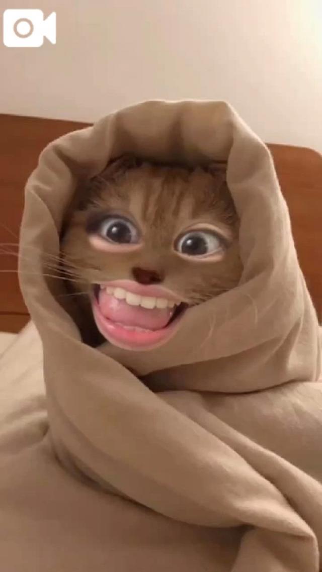 うたな