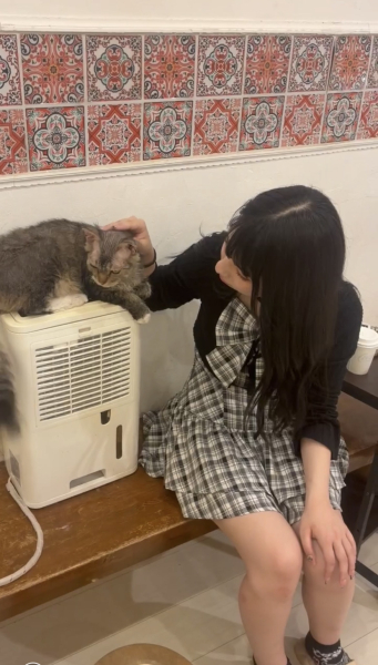 かれん