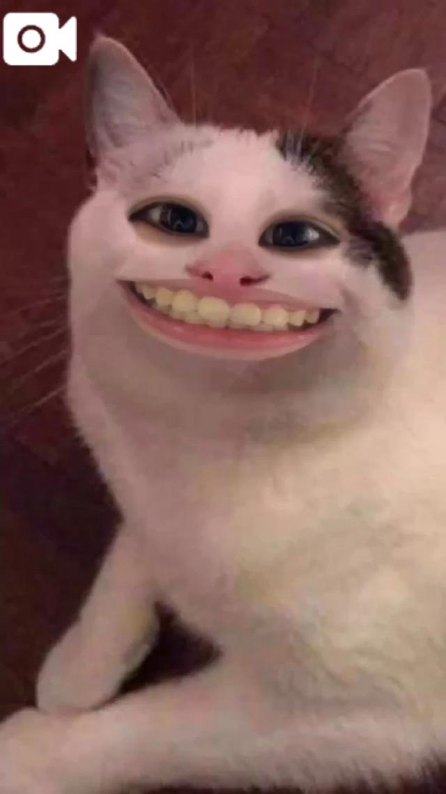 うたな