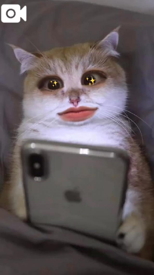 うたな