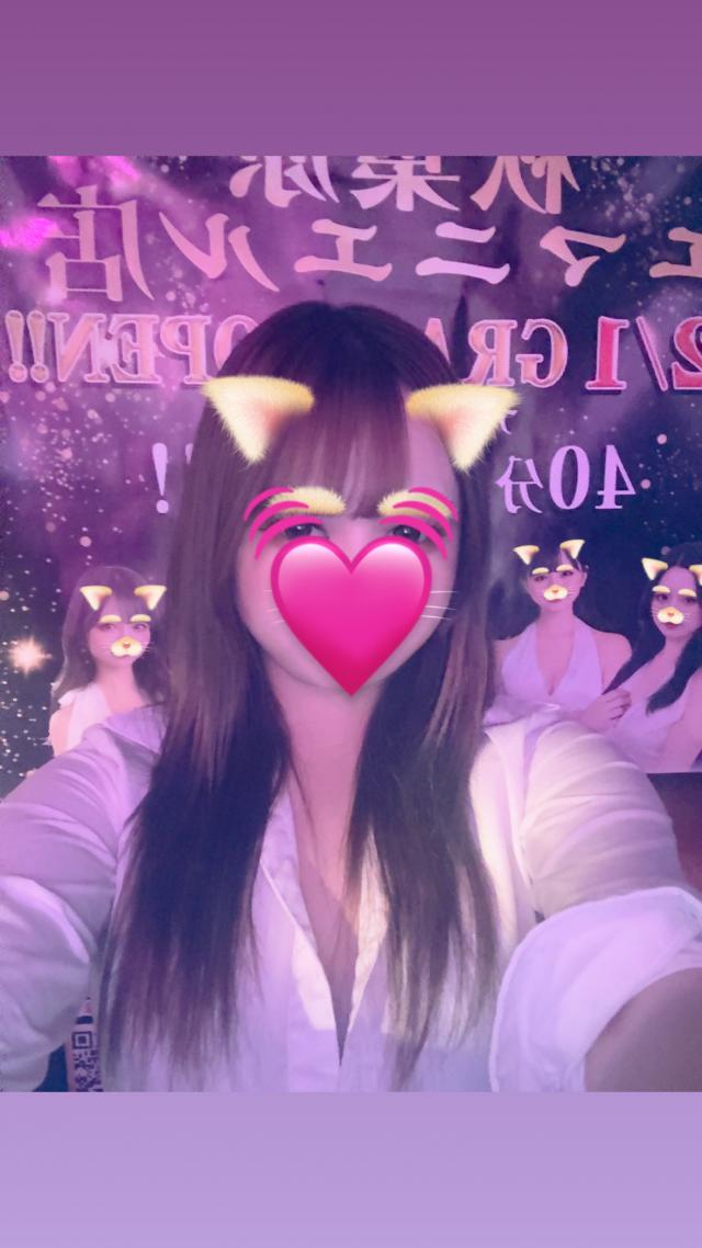ここ