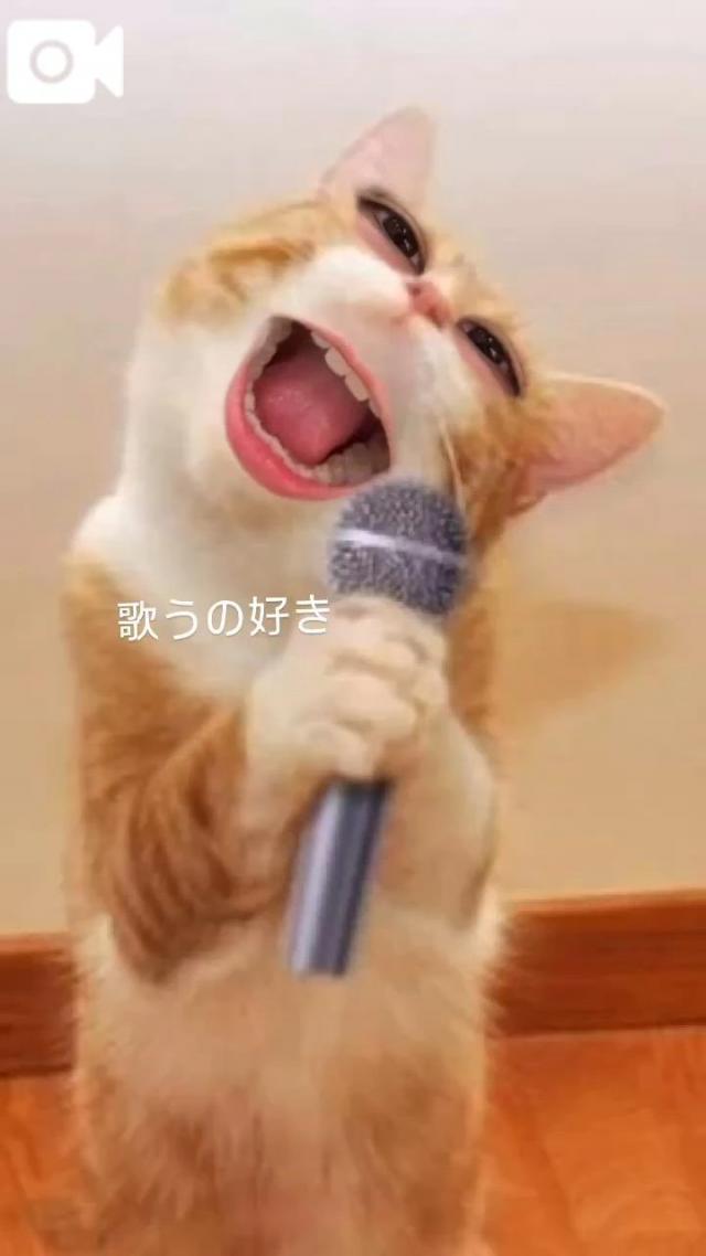 うたな