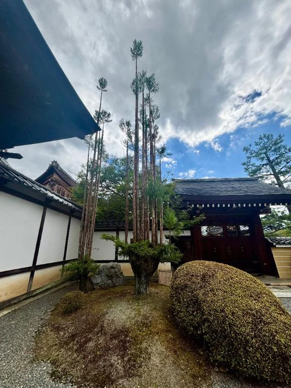 こう