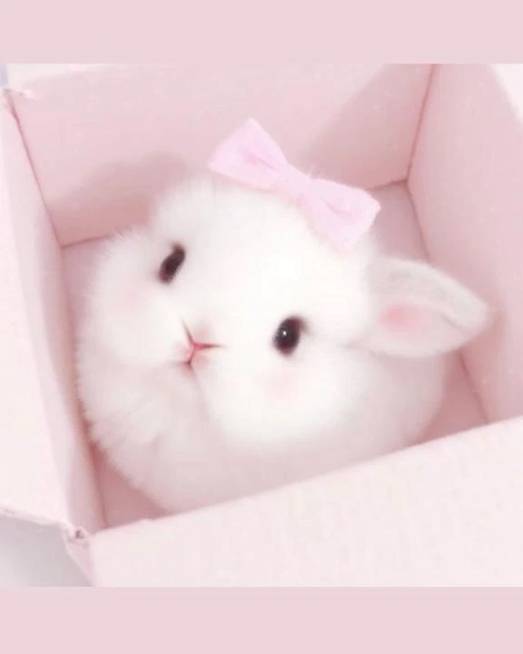 あまね