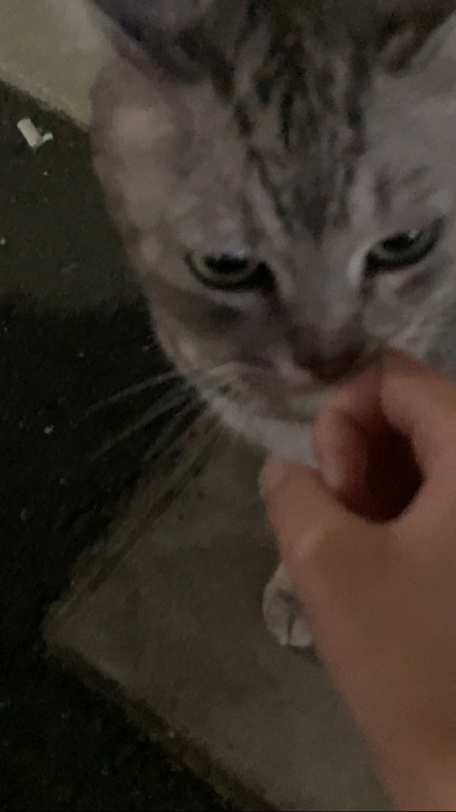 エンジェル
