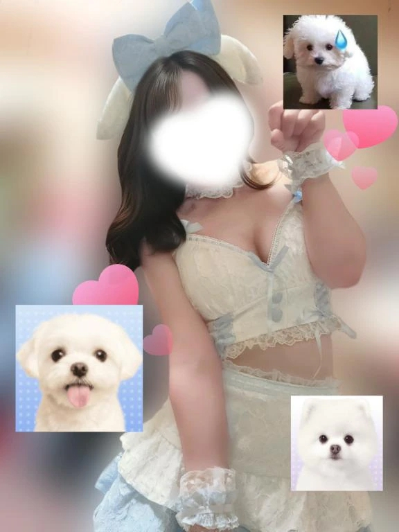 せいら