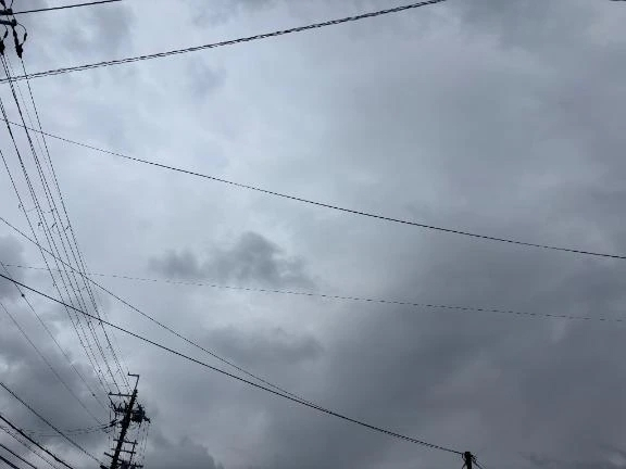 おとめ