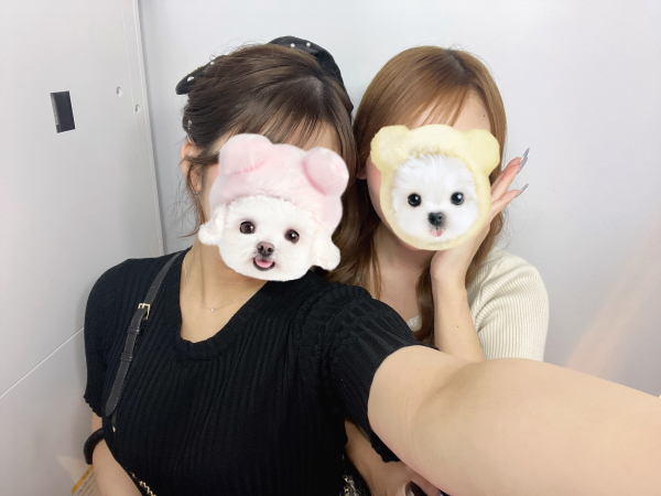 ゆい