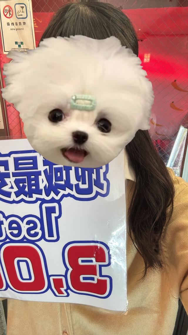 まゆ