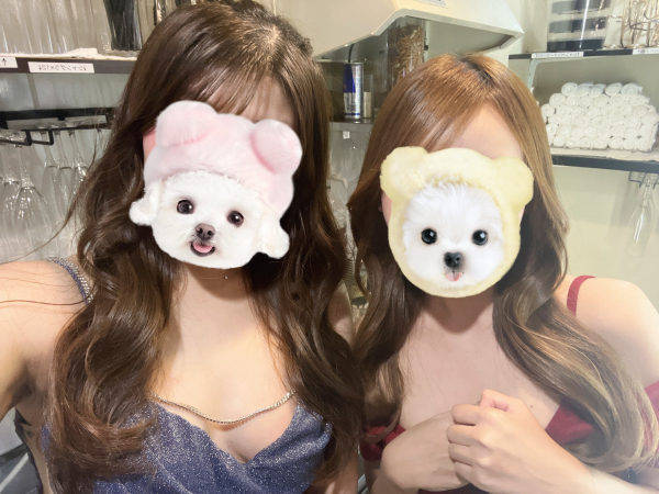 ゆい