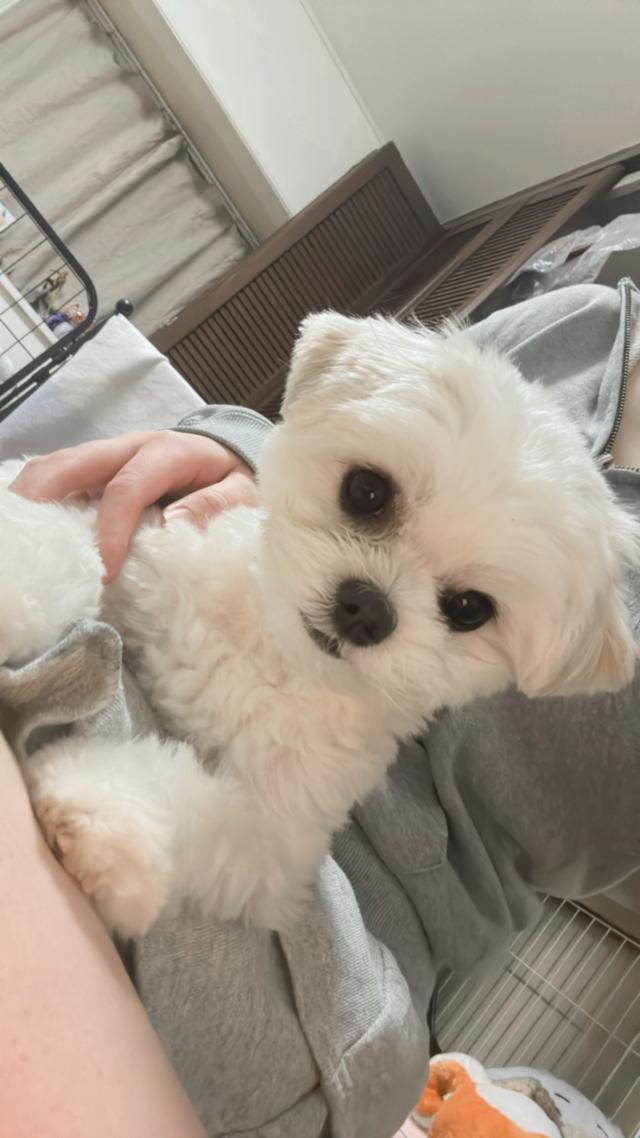 しの
