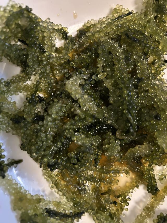まき