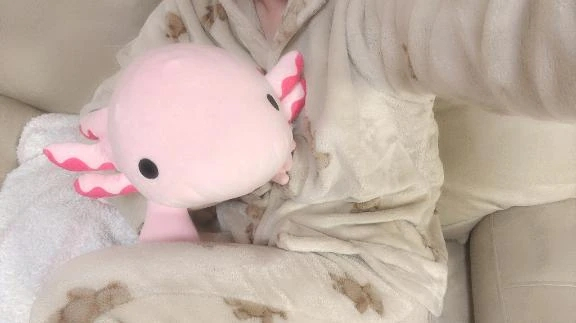 すい