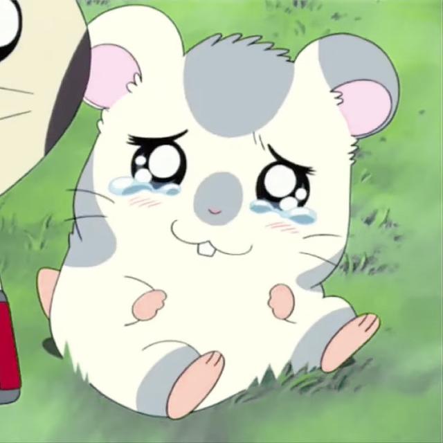 しほ