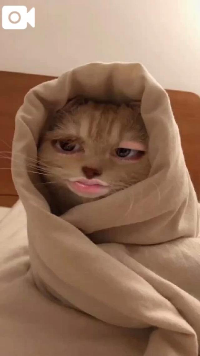 おとめ