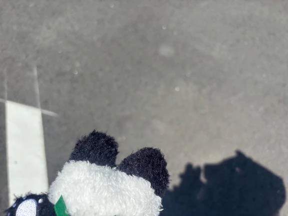 おとめ