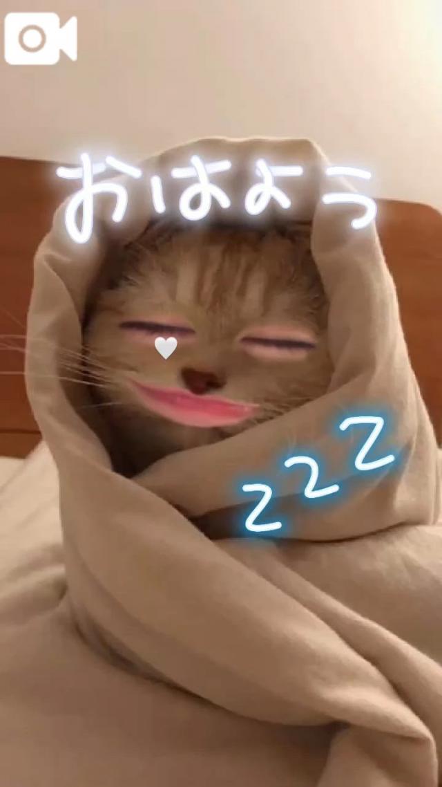 うたな