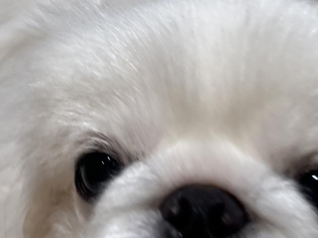 ゆら